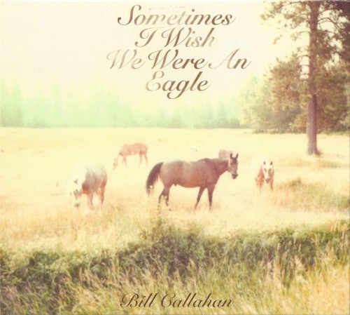 Album Poster | Bill Callahan | Too Many Birds