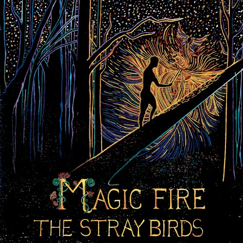 Album Poster | The Stray Birds | Shining In The Distance