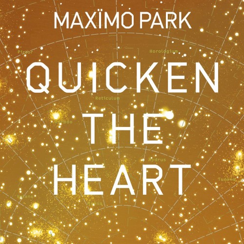 Album Poster | Maximo Park | The Kids Are Sick Again