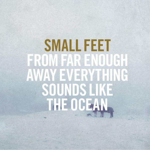Album Poster | Small Feet | All and Everyone