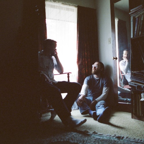 Album Poster | Whitney | Dandelions