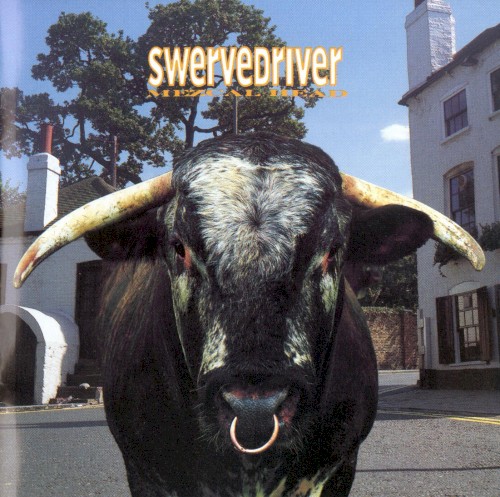 Album Poster | Swervedriver | Duel