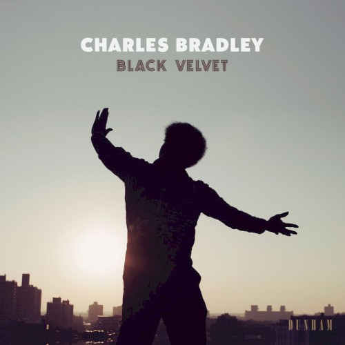 Album Poster | Charles Bradley | I Feel A Change