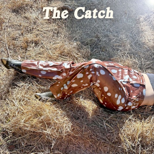 Album Poster | Clare Doyle | The Catch