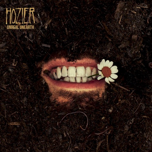 Album Poster | Hozier | De Selby (Part 2)
