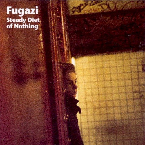Album Poster | Fugazi | Long Division