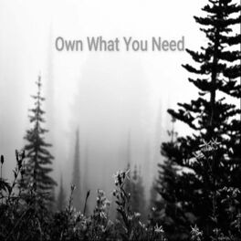 Album Poster | Josh Lubovich | Own What You Need