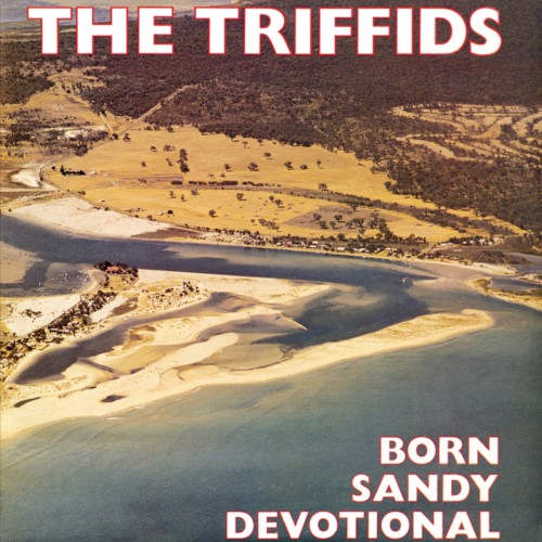 Album Poster | The Triffids | Chicken Killer