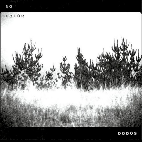 Album Poster | The Dodos | Black Night