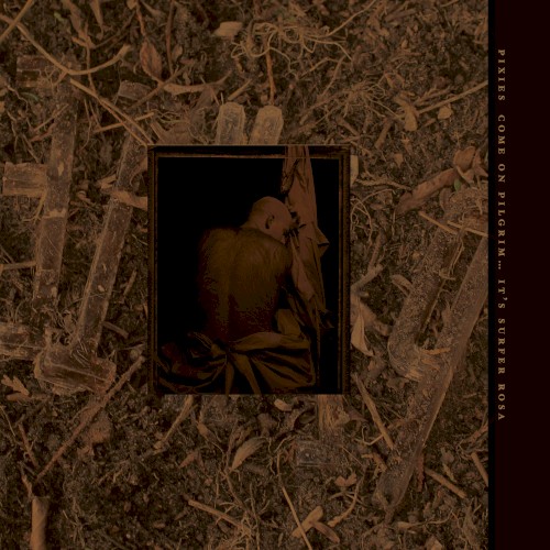 Album Poster | Pixies | Caribou