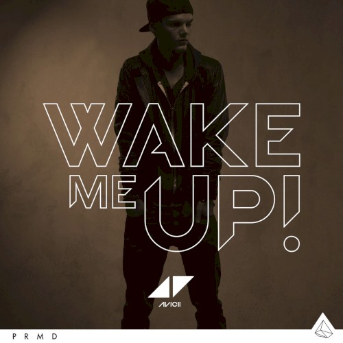 Album Poster | Avicii | Wake Me Up