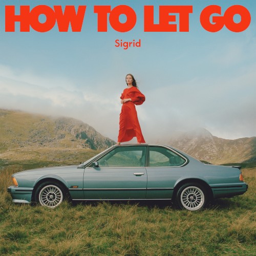 Album Poster | Sigrid | Gets Dark