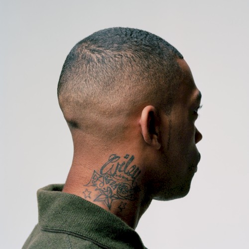 Album Poster | Wiley | Numbers In Action