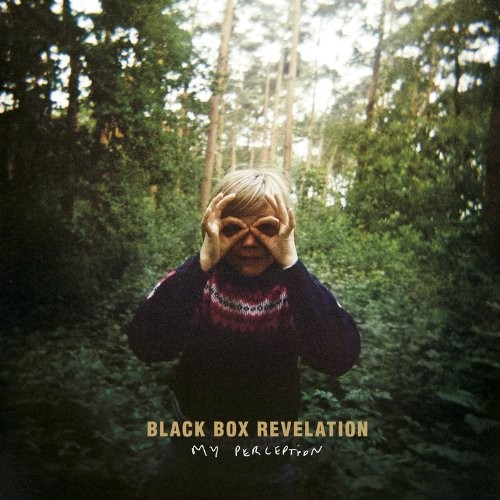 Album Poster | Black Box Revelation | My Perception