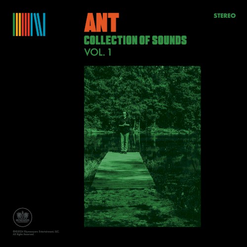 Album Poster | ANT | Leather Soul