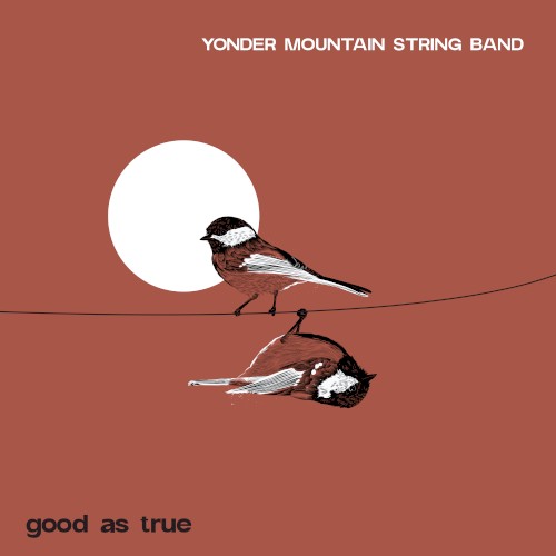 Album Poster | Yonder Mountain String Band | Brand New Heartache