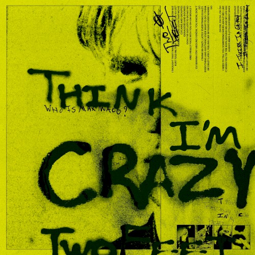 I Think I'm Going Crazy (single)