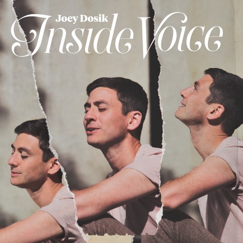 Album Poster | Joey Dosik | Inside Voice