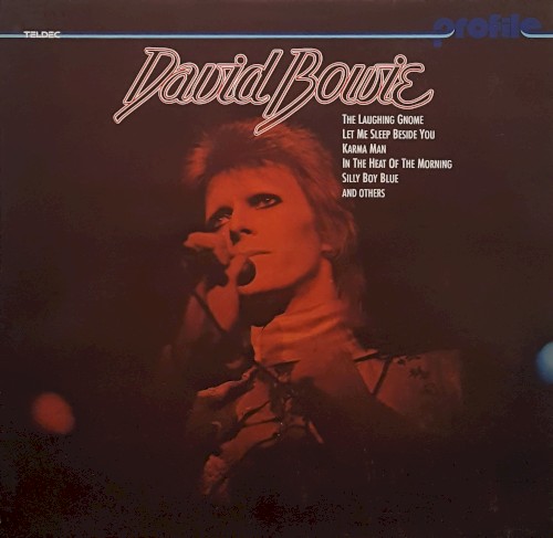 Album Poster | David Bowie | Please Mr. Gravedigger