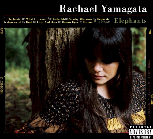 Album Poster | Rachael Yamagata | Accident