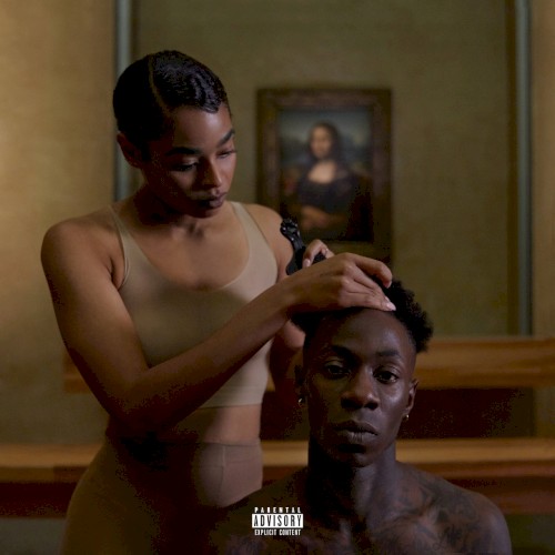Album Poster | The Carters | BLACK EFFECT