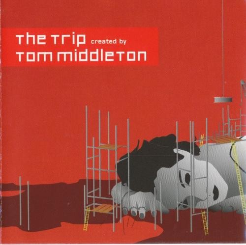 Album Poster | Tom Tom Club | Wordy Rappinghood