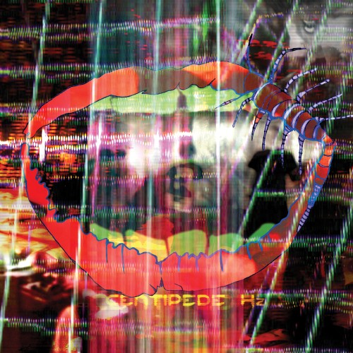 Wide Eyed by Animal Collective from the album Centipede Hz