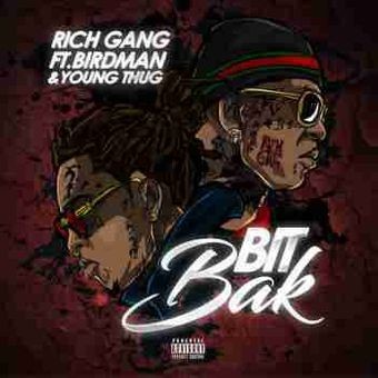 Album Poster | Rich Gang | Bit Bak