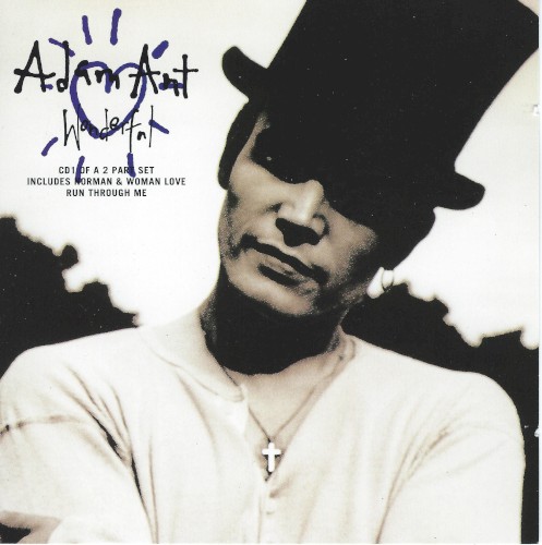 Album Poster | Adam Ant | Wonderful