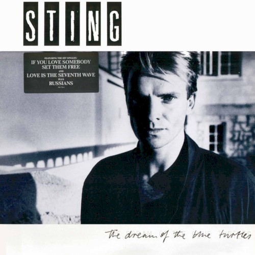Album Poster | Sting | If You Love Somebody Set Them Free