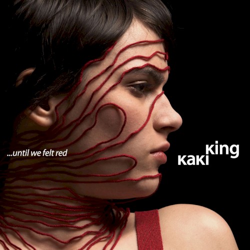 Album Poster | Kaki King | Jessica