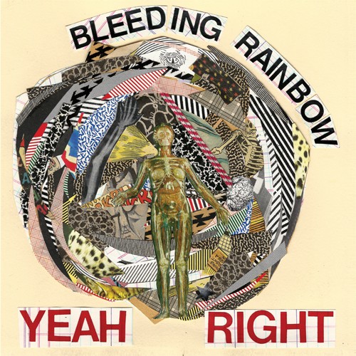 Album Poster | Bleeding Rainbow | Pink Ruff