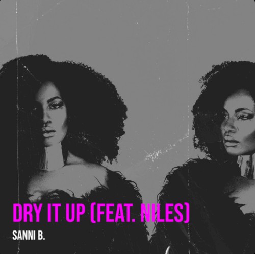 Album Poster | Sanni B. | Dry It Up