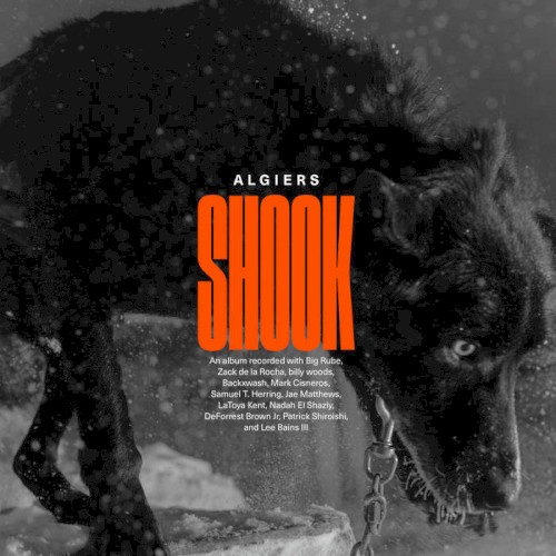 Album Poster | Algiers | Irreversible Damage feat. Zack De La Rocha