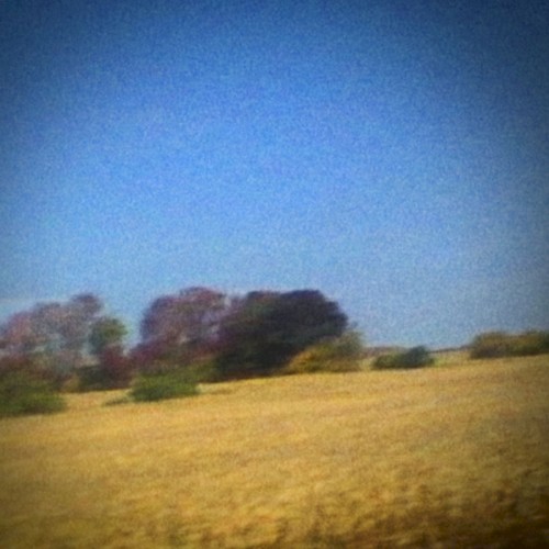 Album Poster | Sun Kil Moon | I Can't Live Without My Mother's Love