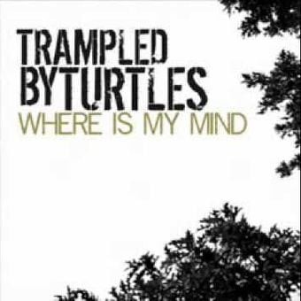 Album Poster | Trampled By Turtles | Where Is My Mind