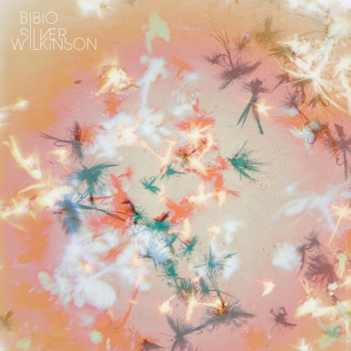 Album Poster | Bibio | Mirroring All