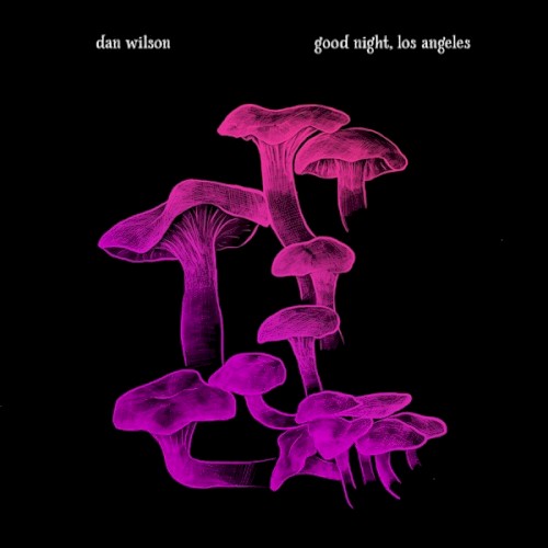 Album Poster | Dan Wilson | Laurel