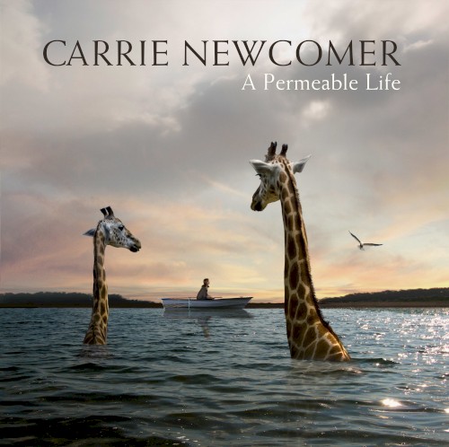Album Poster | Carrie Newcomer | Forever Ray