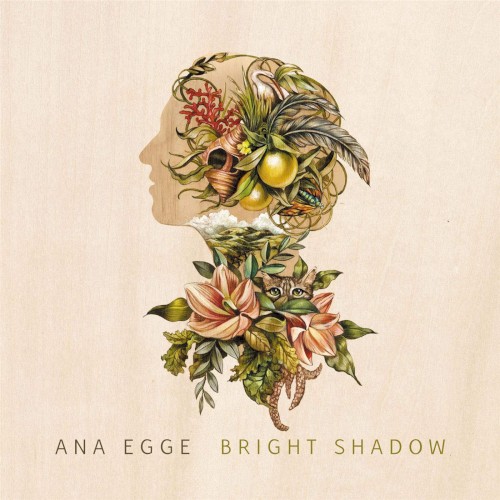 Album Poster | Ana Egge | Dreamer