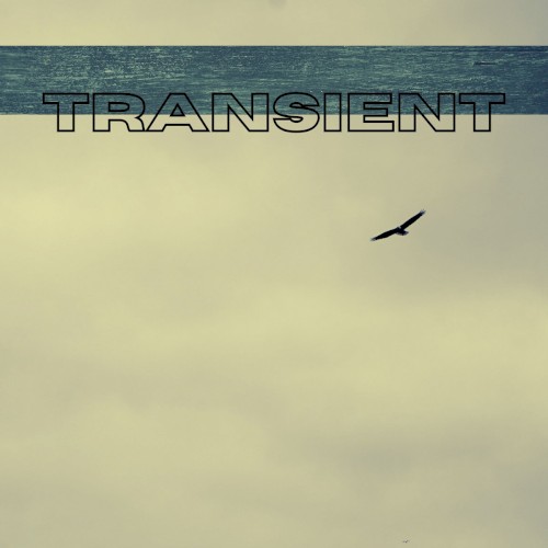 Album Poster | Eli Gardiner | Transcient