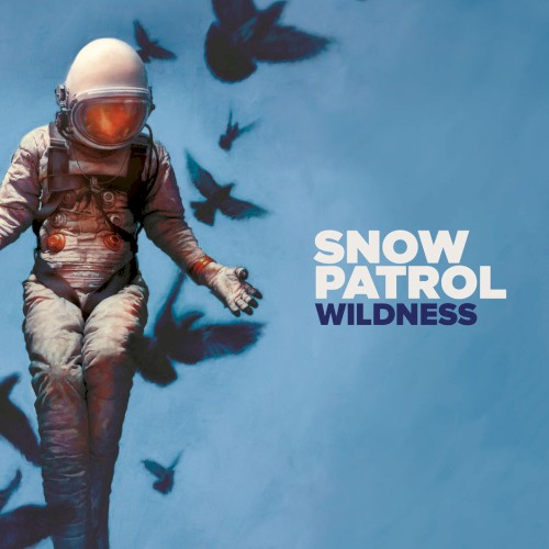 Album Poster | Snow Patrol | Don't Give In