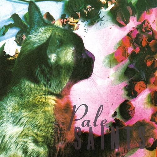 Album Poster | Pale Saints | Sight Of You