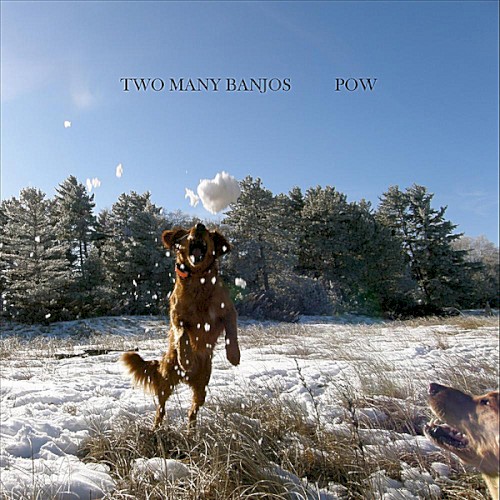 Album Poster | Two Many Banjos | Everybody's Dog
