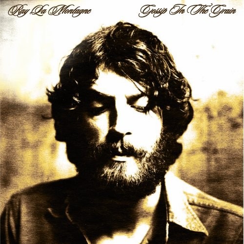 Album Poster | Ray LaMontagne | You Are The Best Thing