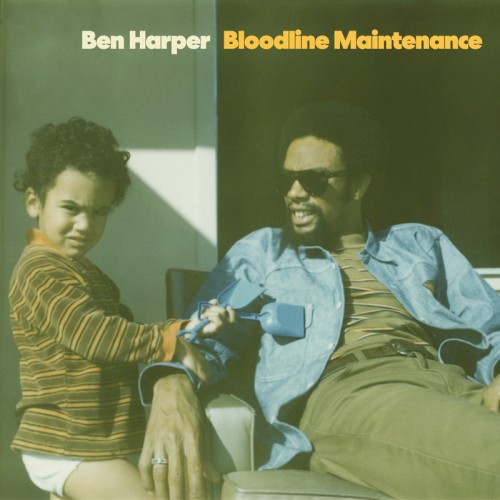 Album Poster | Ben Harper | Need To Know Basis