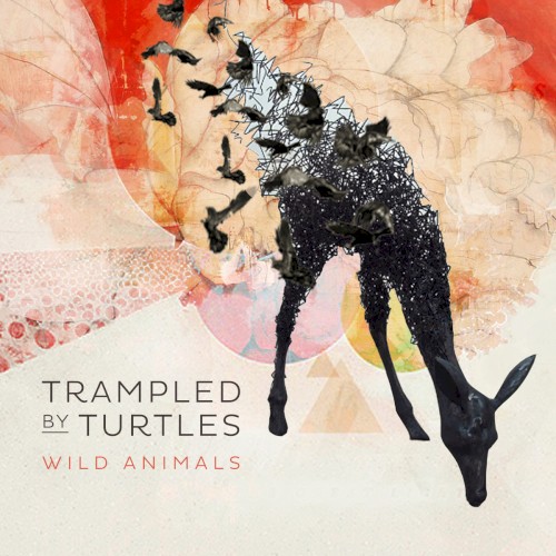 Album Poster | Trampled By Turtles | Are You Behind the Shining Star
