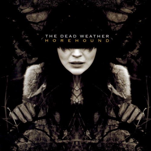 Album Poster | The Dead Weather | I Cut Like A Buffalo