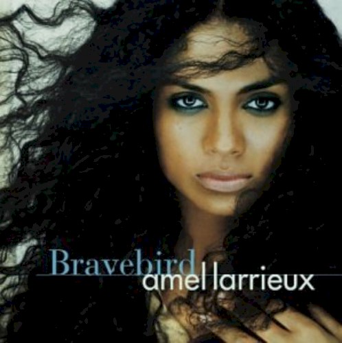 Album Poster | Amel Larrieux | For Real