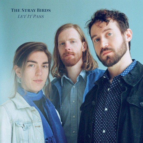 Album Poster | The Stray Birds | Truth In The Night
